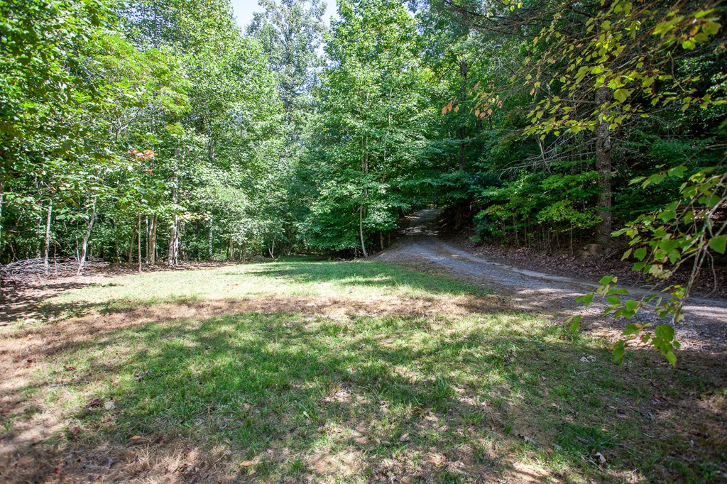 97 Beak Road Murphy, NC 28906 - Photo 43 of 48