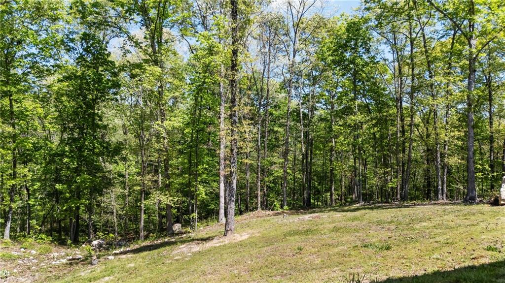 7 Moss Creek Drive Northeast Rome, GA 30161 - Photo 42 of 53