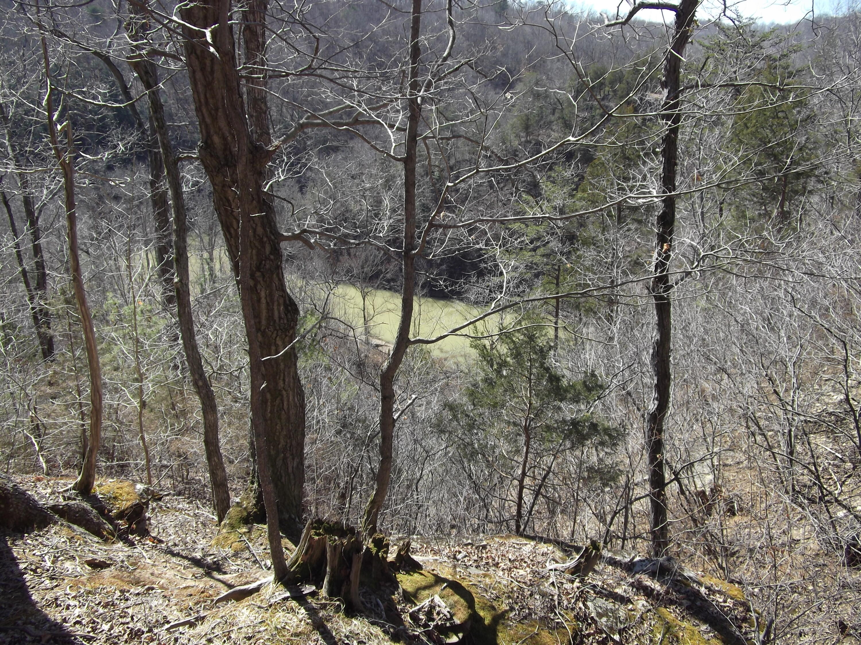 1943 Greenbriar Road Monticello, KY 42633 - Photo 24 of 24 DSCF0437