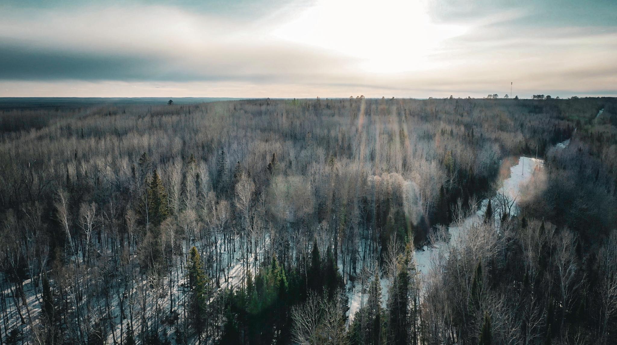 Tbd Parcel S Tbd Parcel S Thomas Road Tower, MN 55790 - Photo 12 of 13