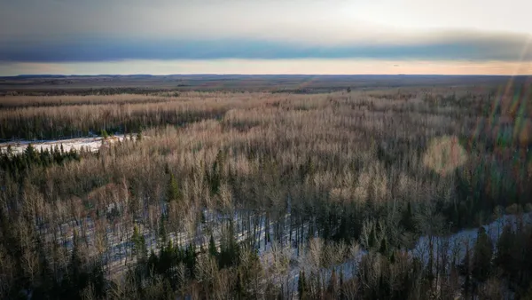 $39,900 | Tbd Parcel S Tbd Parcel S Thomas Road, Tower, MN 55790