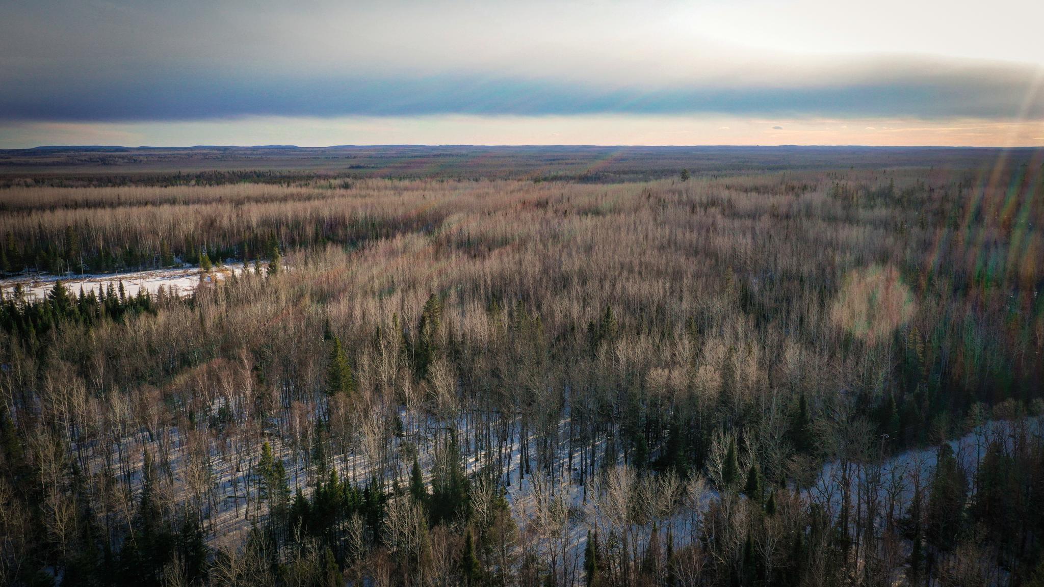 Tbd Parcel S Tbd Parcel S Thomas Road Tower, MN 55790 - Photo 2 of 13