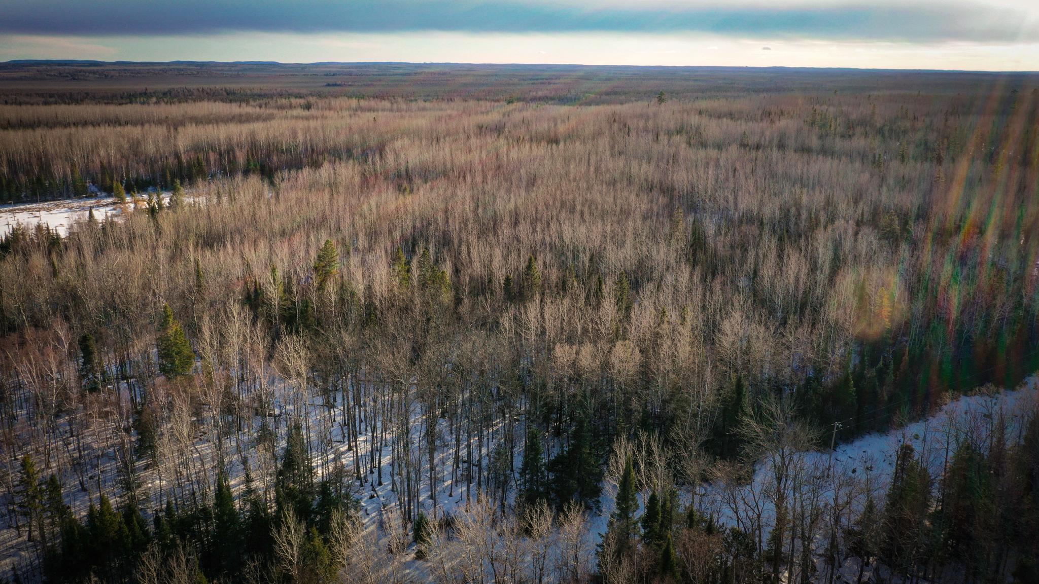 Tbd Parcel S Tbd Parcel S Thomas Road Tower, MN 55790 - Photo 3 of 13