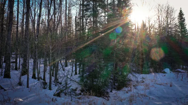 $39,900 | Tbd Parcel S Tbd Parcel S Thomas Road, Tower, MN 55790