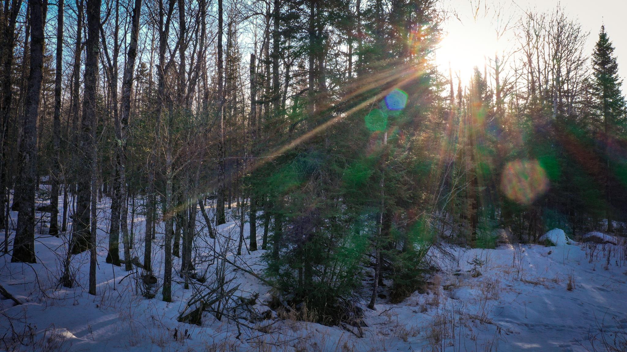 Tbd Parcel S Tbd Parcel S Thomas Road Tower, MN 55790 - Photo 5 of 13