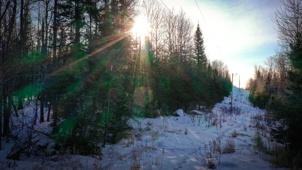 $39,900 | Tbd Parcel S Tbd Parcel S Thomas Road, Tower, MN 55790