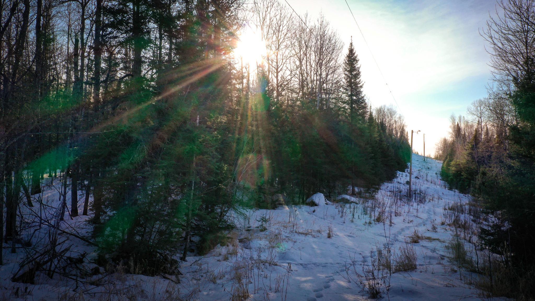 Tbd Parcel S Tbd Parcel S Thomas Road Tower, MN 55790 - Photo 6 of 13