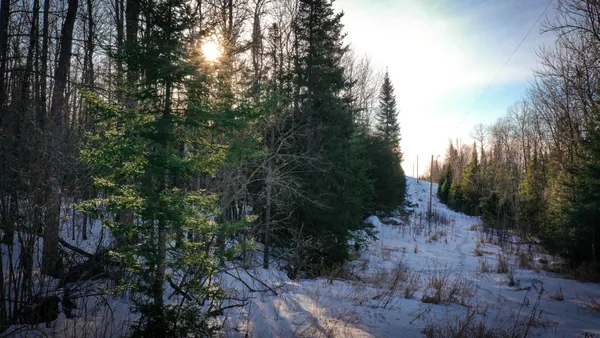 $39,900 | Tbd Parcel S Tbd Parcel S Thomas Road, Tower, MN 55790