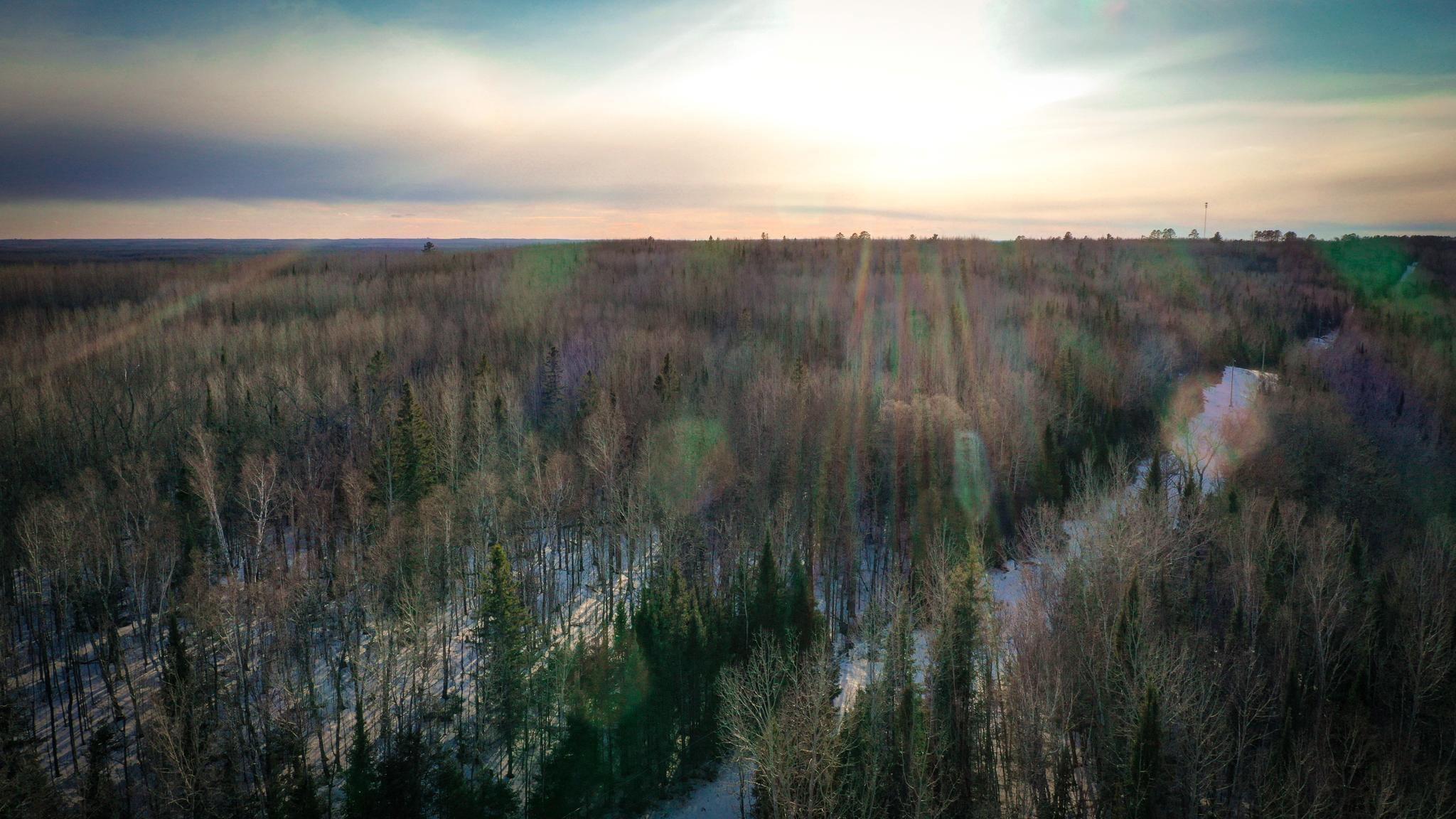 Tbd Parcel S Tbd Parcel S Thomas Road Tower, MN 55790 - Photo 8 of 13