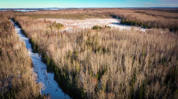 $39,900 | Tbd Parcel S Tbd Parcel S Thomas Road, Tower, MN 55790