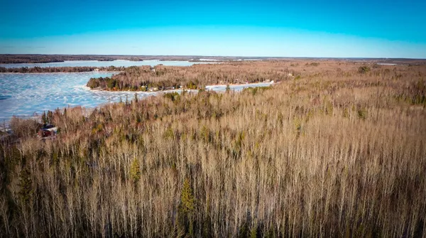 $39,900 | Tbd Parcel S Tbd Parcel S Thomas Road, Tower, MN 55790