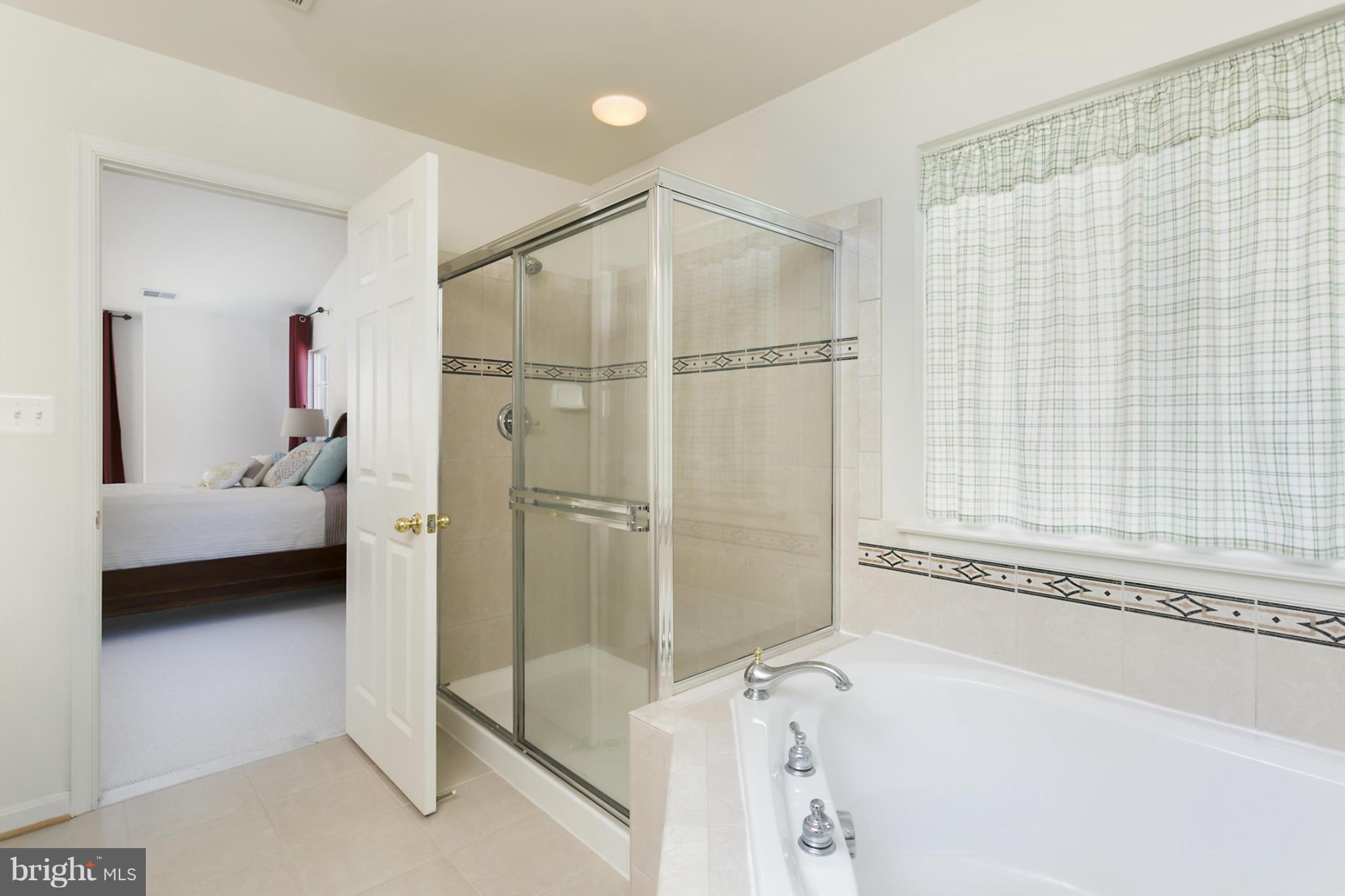 8086 High Castle Road Ellicott City, MD 21043 - Photo 20 of 30 Bath (Master)