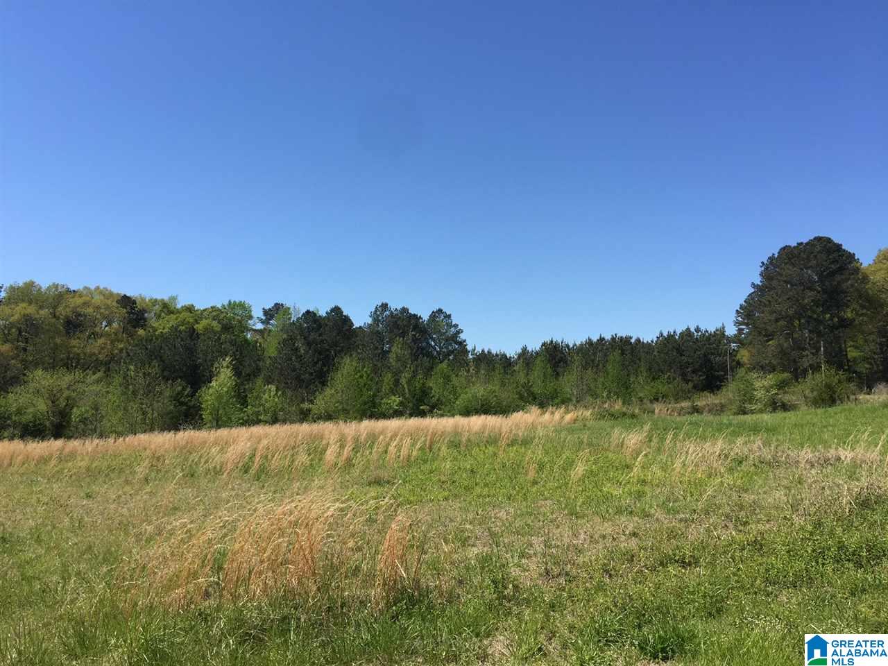 401 Shoal Creek Road Ashville, AL 35953 - Photo 3 of 11