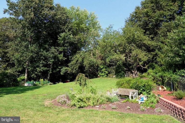 12004 Brandywine Road Clinton, MD 20735 - Photo 19 of 25 Wooded View / Acreage