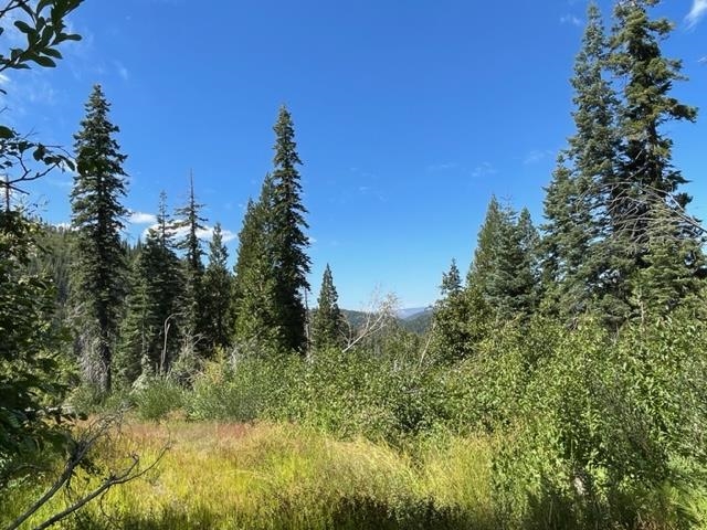 0 Big Creek Road Quincy, CA 95971 - Photo 19 of 19