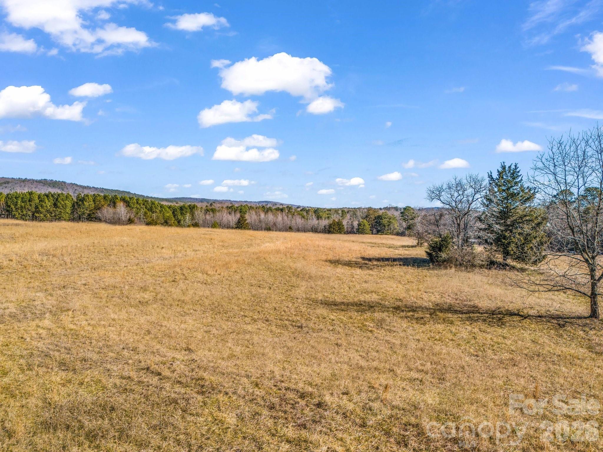 532 Harvey Logan Road Bostic, NC 28018 - Photo 11 of 48