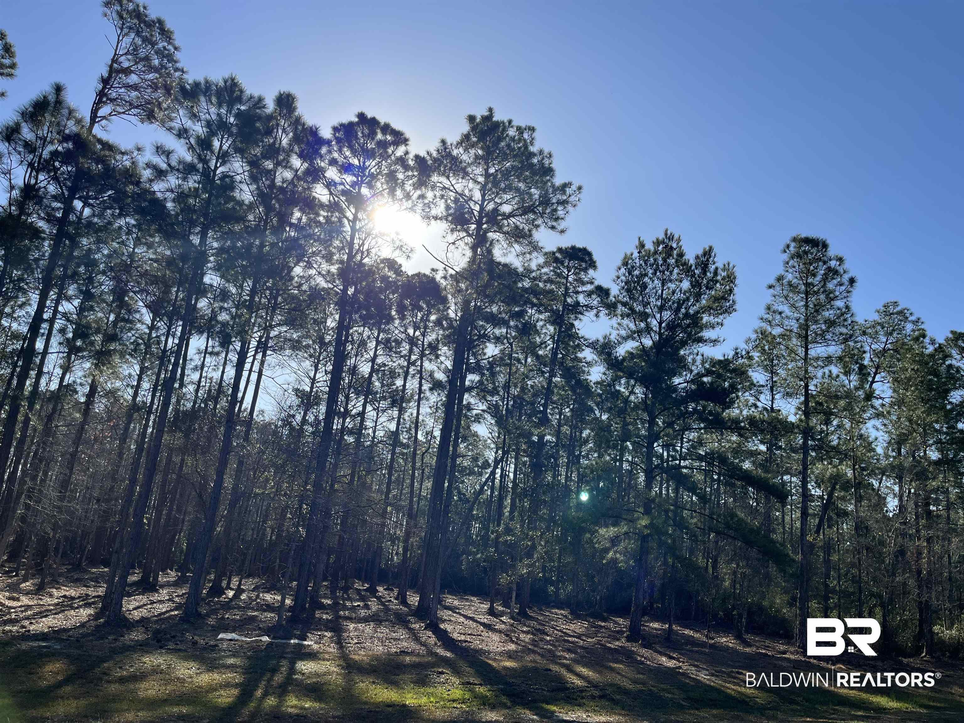 Treasure Oaks Road Gulf Shores, AL 36542 - Photo 5 of 10