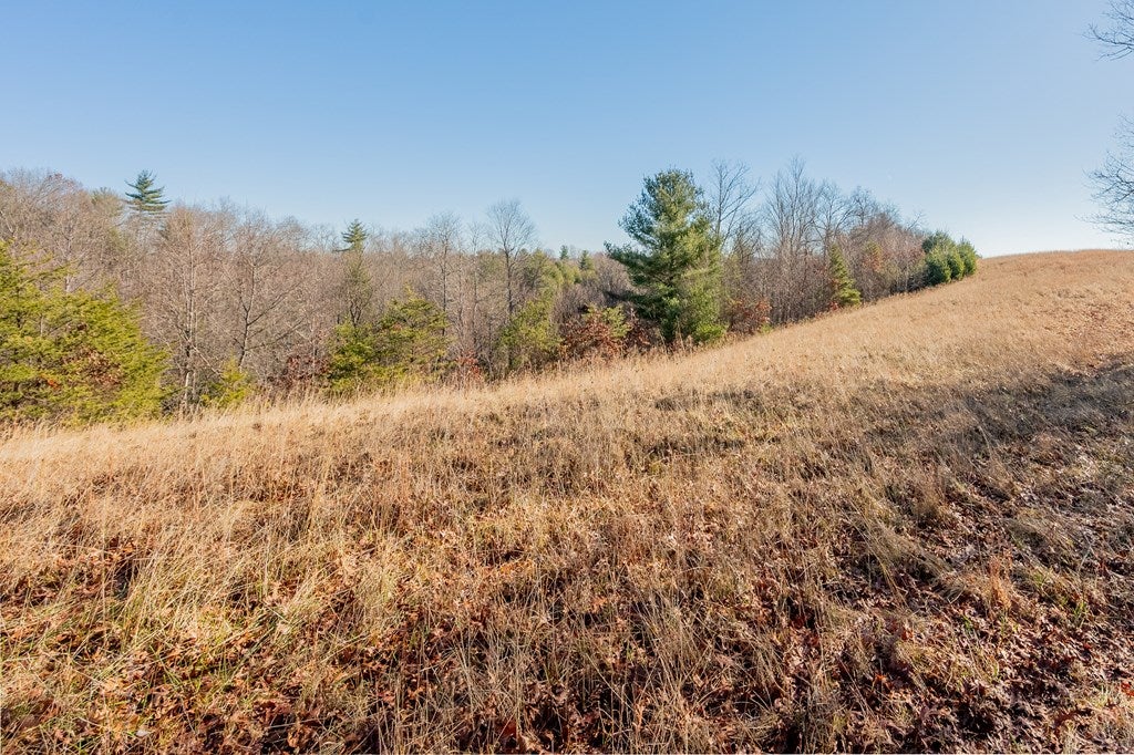 1530 Ridge Road Austinville, VA 24312 - Photo 47 of 62 Gallery Image 47