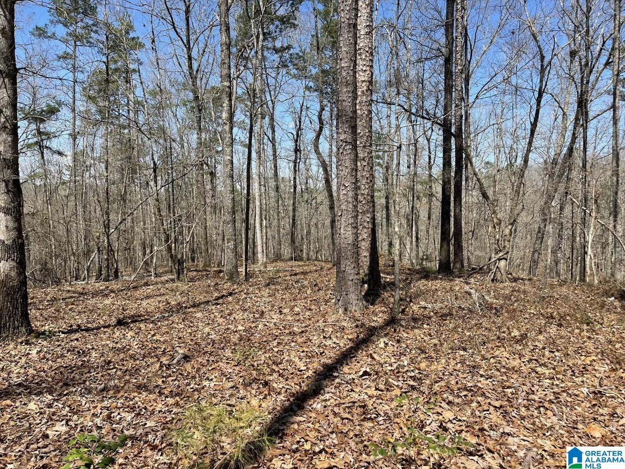 Laurel Way, Unit 79 Wedowee, AL 36278 - Photo 2 of 9
