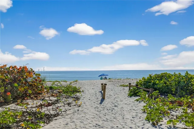 a view of a dry yard with lots of green space