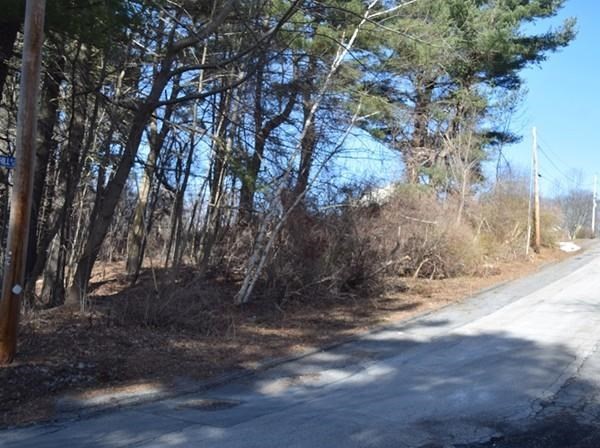 14 Montclair Drive Auburn, MA 01501 - Photo 3 of 3 a view of outdoor space with trees