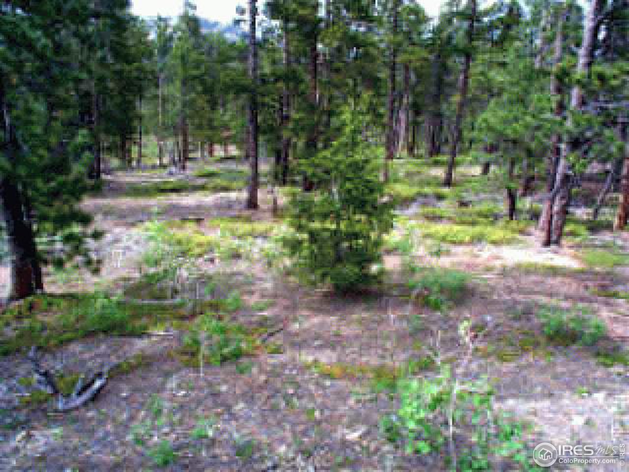 2000 Bunce School Road Lyons, CO 80510 - Photo 3 of 6 Gallery Image 3
