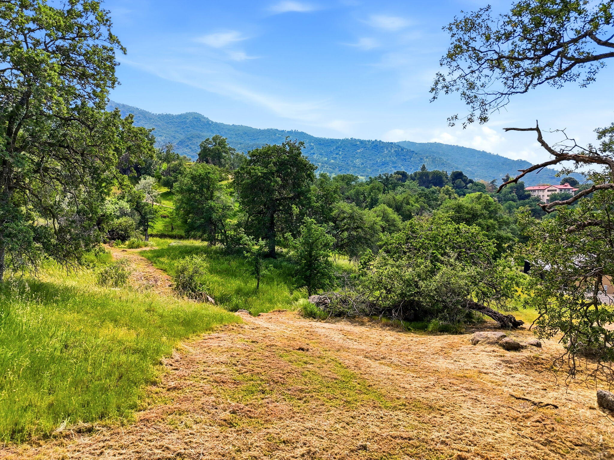 Three Rivers Ca Three Rivers, CA 93271 - Photo 21 of 22 22-44132_August_Dr_019