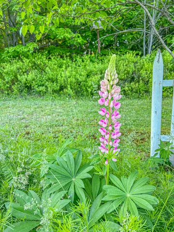 $349,500 | 1568 Essex Street, Bangor, ME 04401