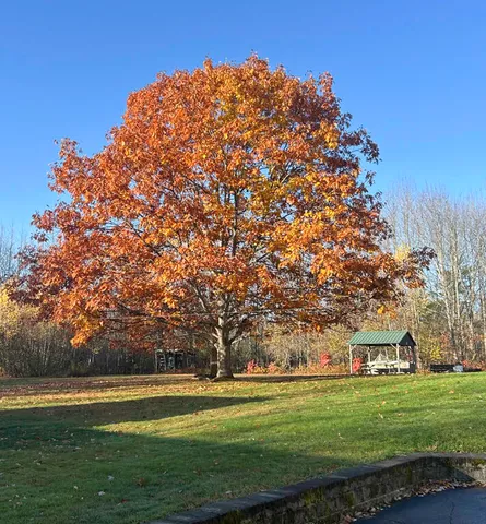 $349,500 | 1568 Essex Street, Bangor, ME 04401