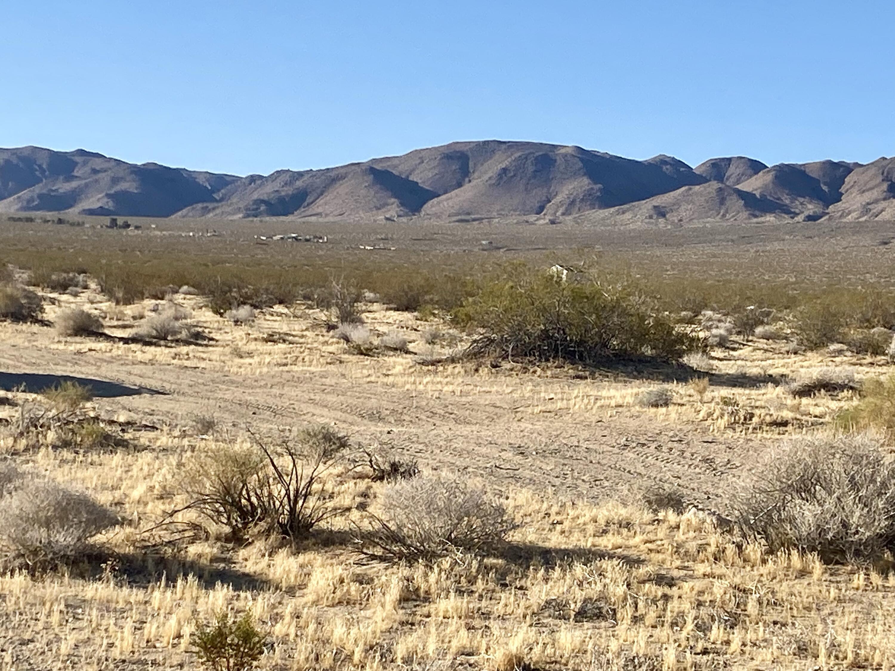 104 Joshua Tree Road Johnson Valley, CA 92285 - Photo 22 of 55 IMG_8390
