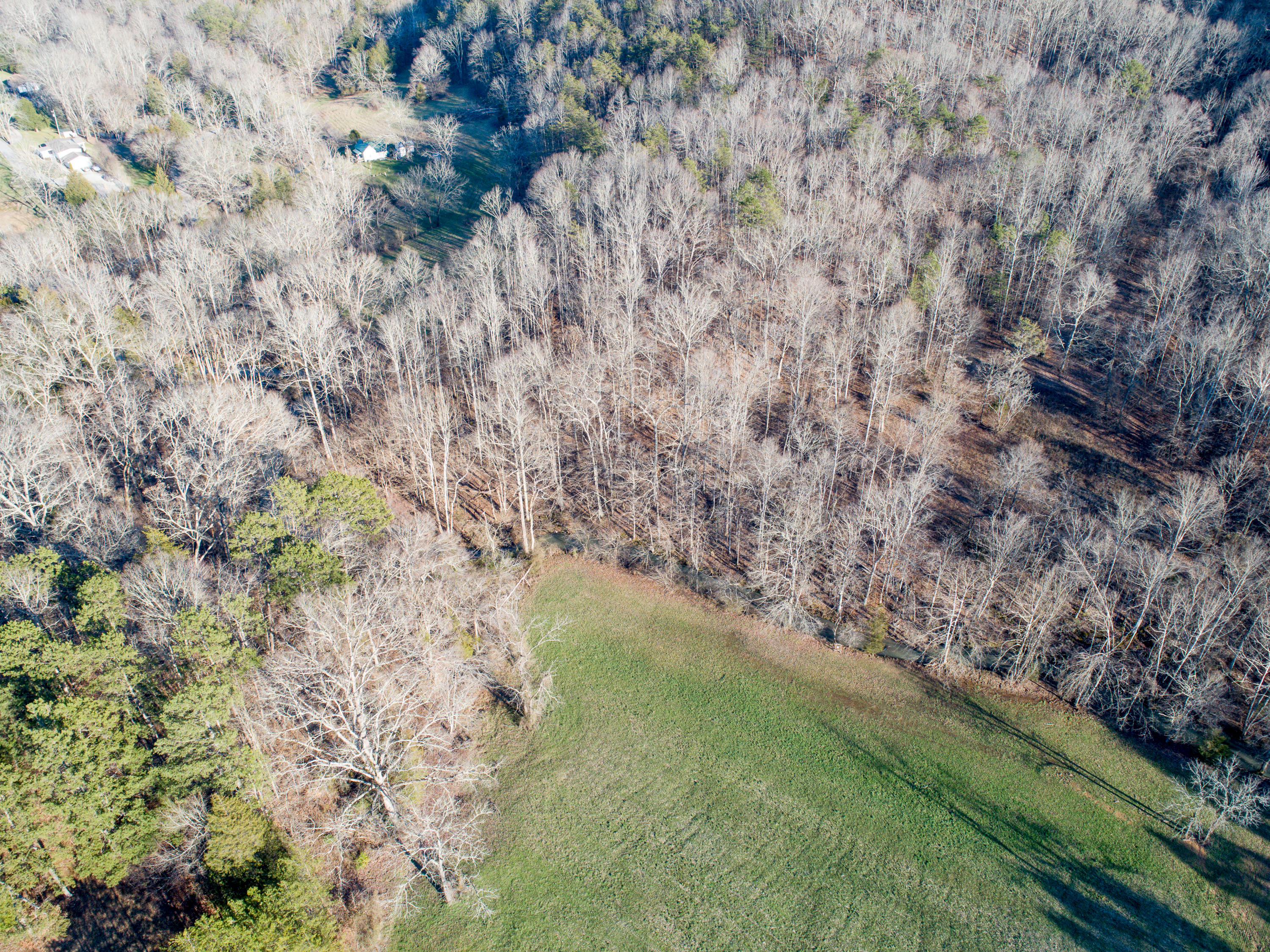 Lot 53 Beeler Road Maynardville, TN 37807 - Photo 14 of 17 014DJI_0123200214-6-234BeelerRdMaynardvi