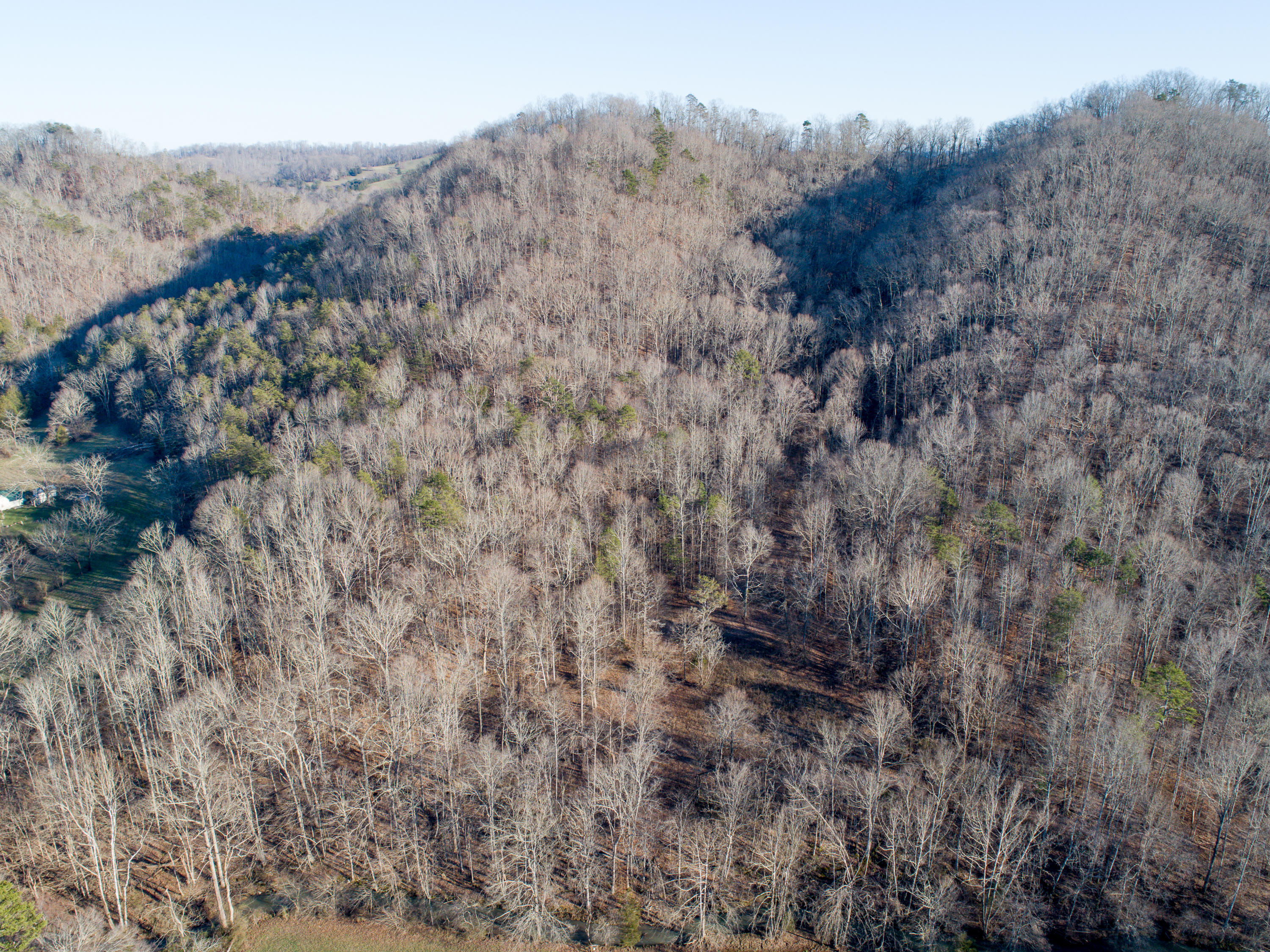 Lot 53 Beeler Road Maynardville, TN 37807 - Photo 15 of 17 015DJI_0126200214-6-234BeelerRdMaynardvi