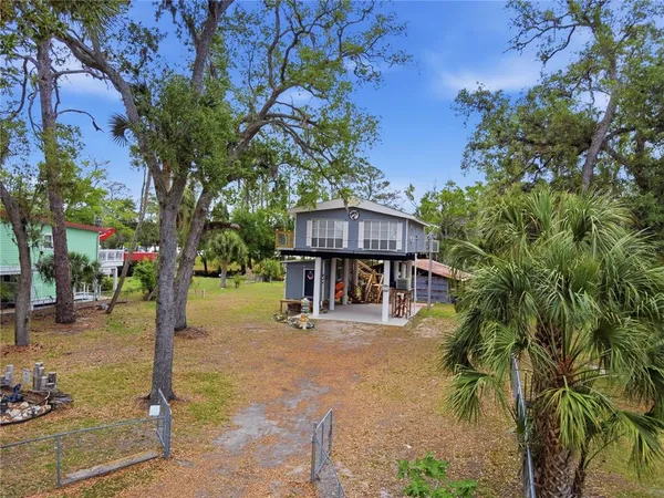 a house with lots of trees