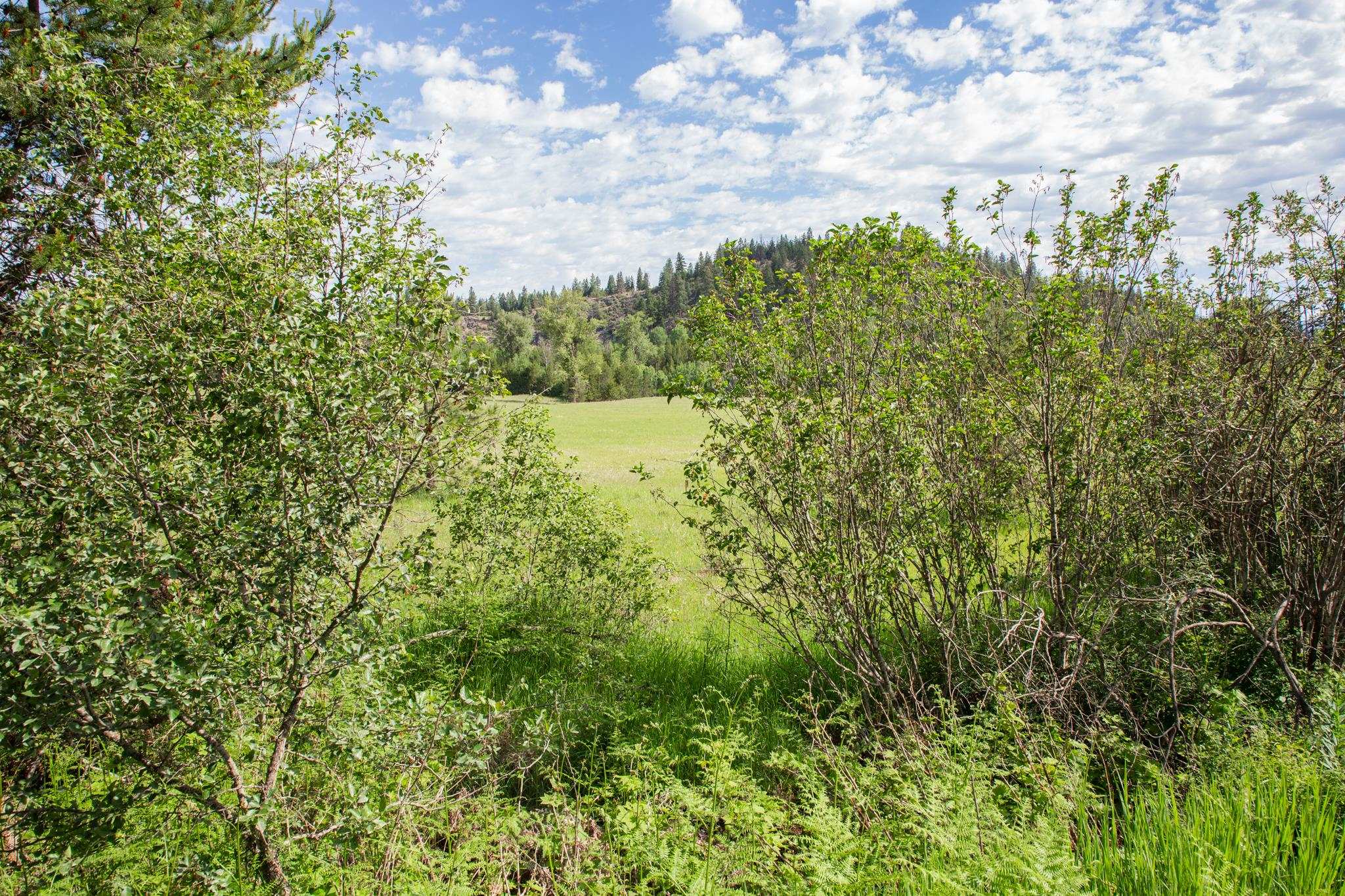 Nka Turk Road Newport, WA 99156 - Photo 6 of 21 Gallery Image 6