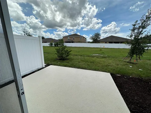 a view of a big yard with potted plants and large tree