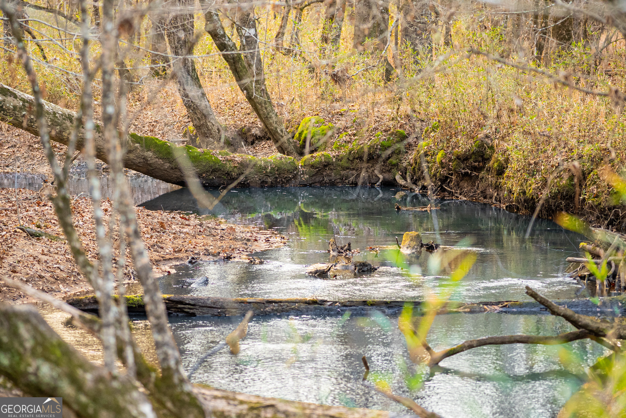 3 Smith Rocky Branch Road Carlton, GA 30627 - Photo 9 of 13