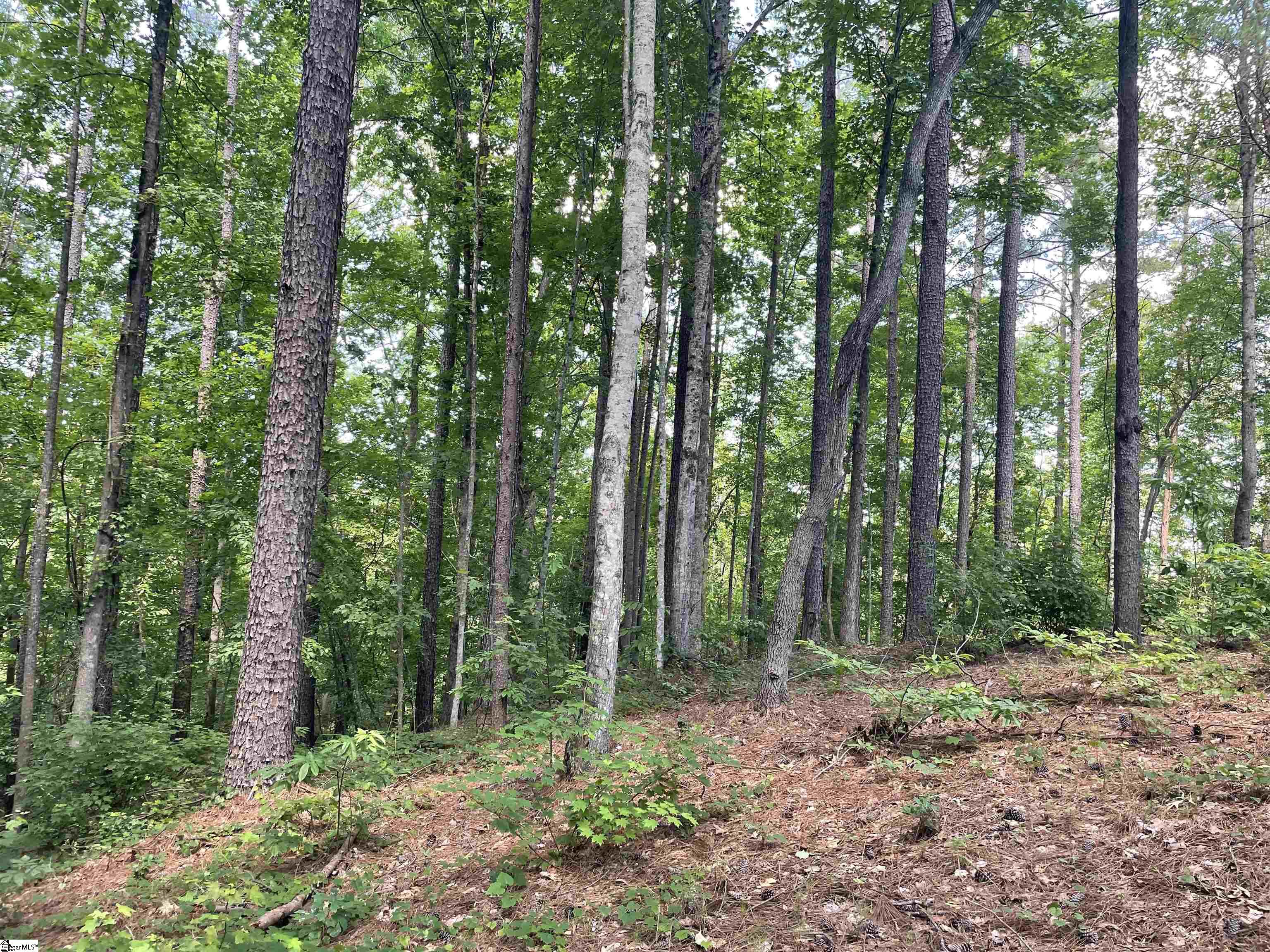 0 Nimmons Bridge Road Salem, SC 29676 - Photo 5 of 27