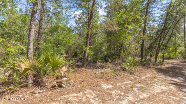 5276 Organic Road Keystone Heights, FL 32656 - Photo 12 of 13 4
