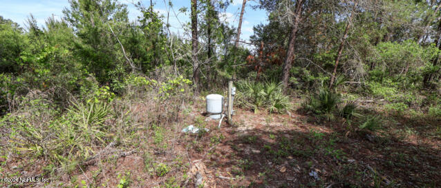 5276 Organic Road Keystone Heights, FL 32656 - Photo 4 of 13 Organic well