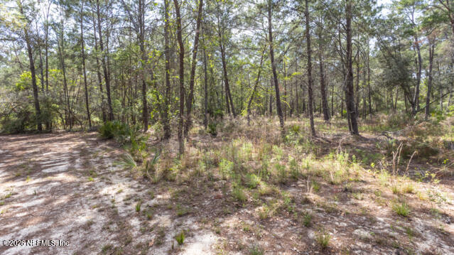 5276 Organic Road Keystone Heights, FL 32656 - Photo 9 of 13 interior 1