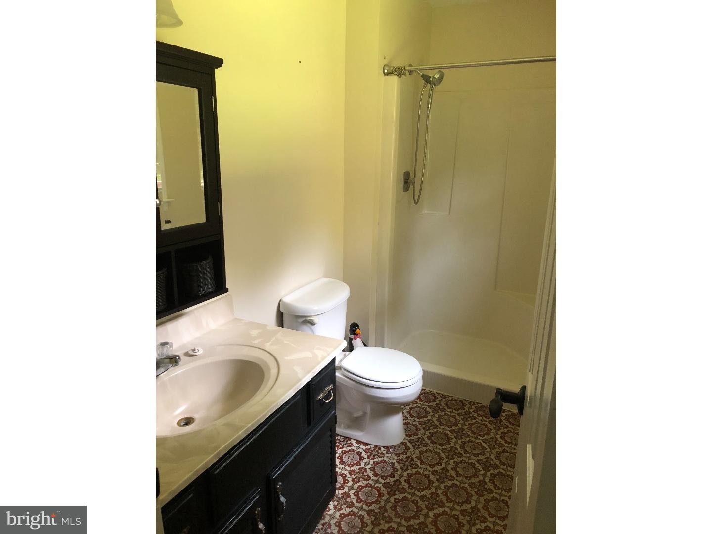 314 Jacobstown Cookstown Road Wrightstown, NJ 08562 - Photo 9 of 19 Bathroom