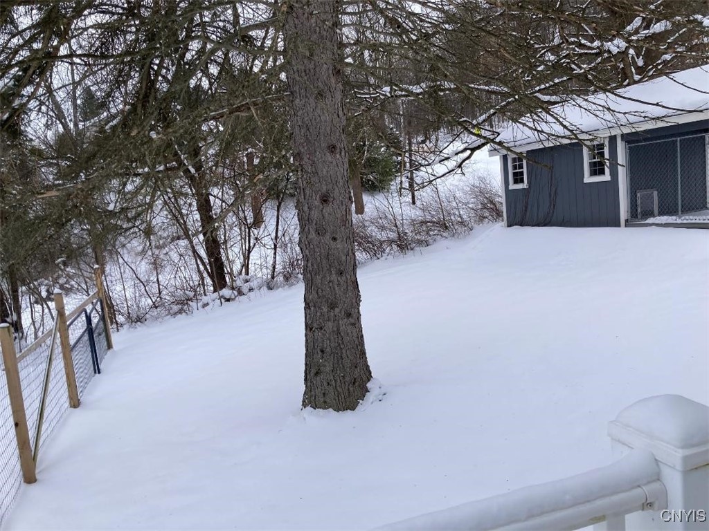 5758 Hamilton Road Elbridge, NY 13080 - Photo 11 of 27 This is the side yard as seen from the rear porch.