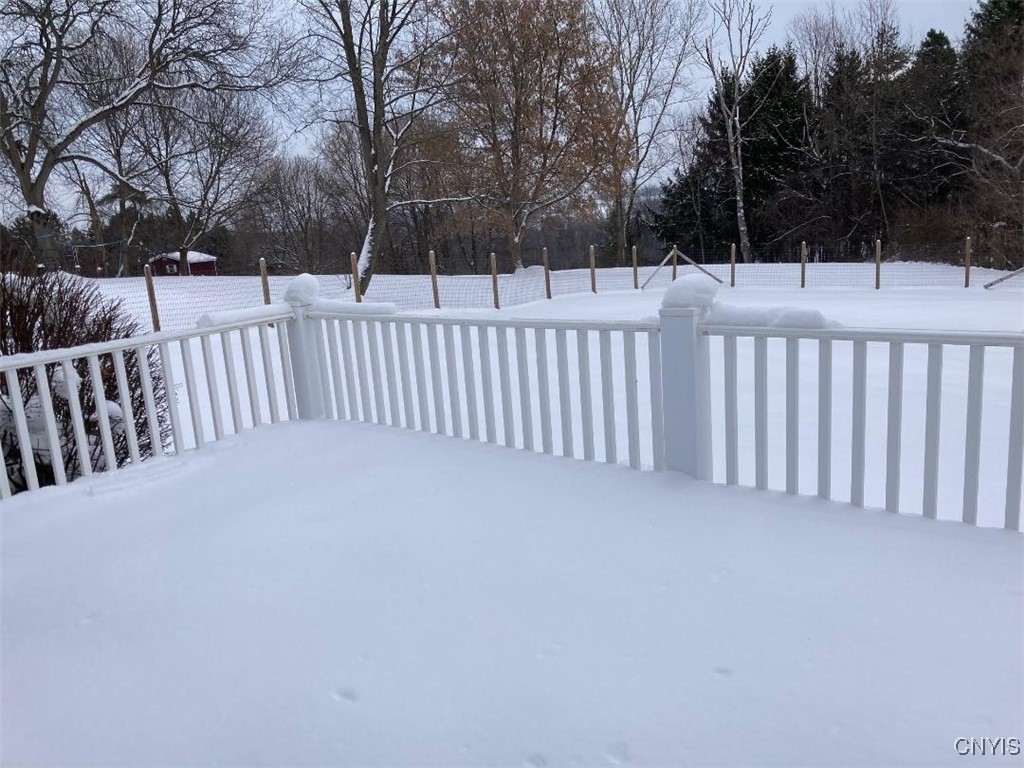 5758 Hamilton Road Elbridge, NY 13080 - Photo 12 of 27 Covered in snow when the photo was taken, imagine