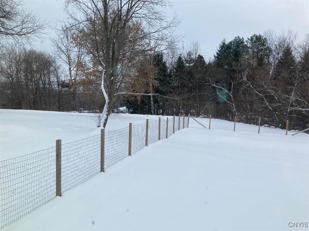 5758 Hamilton Road Elbridge, NY 13080 - Photo 8 of 27 The fencing is fairly new and well-maintained.