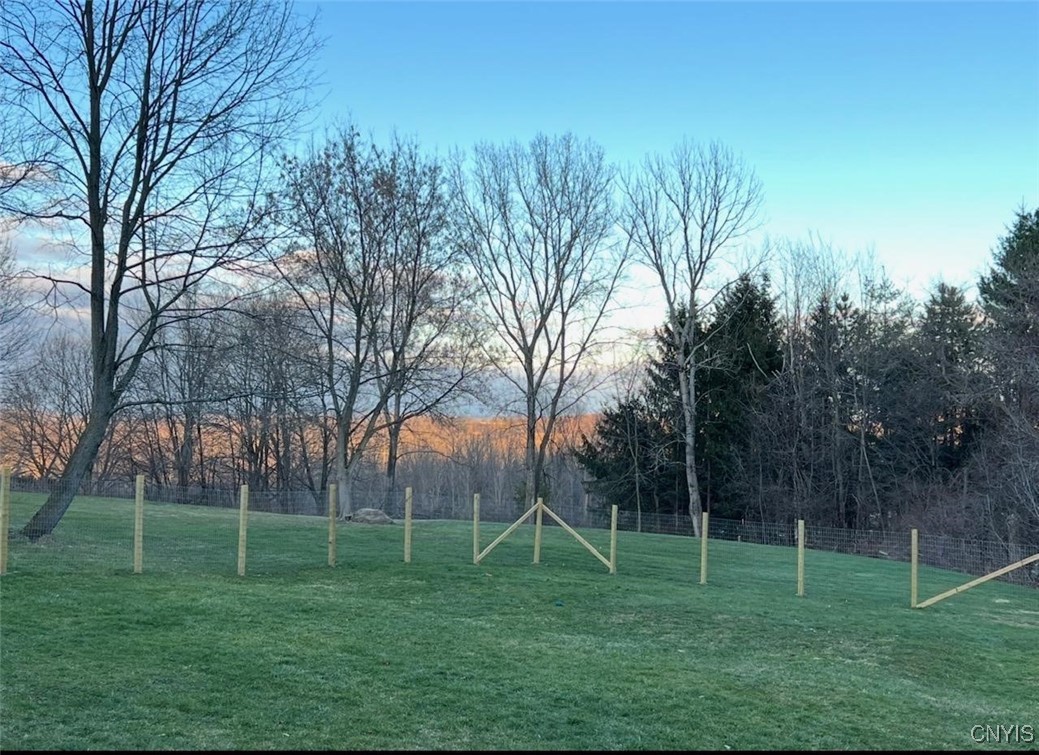 5758 Hamilton Road Elbridge, NY 13080 - Photo 9 of 27 A morning in early spring.