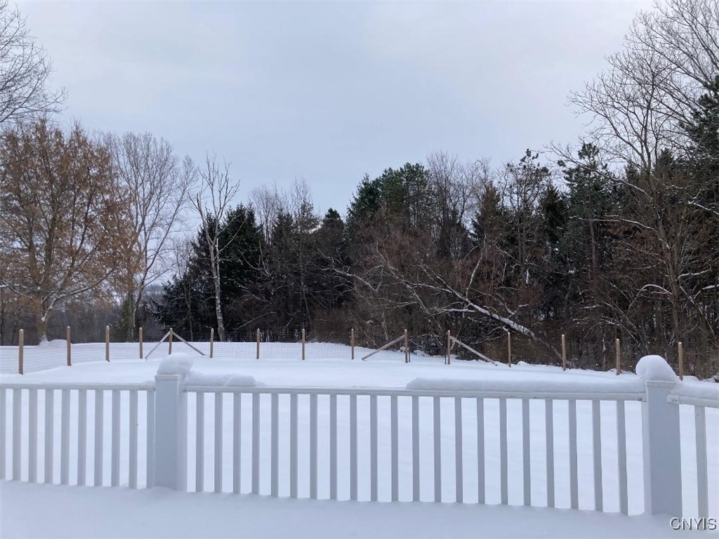 5758 Hamilton Road Elbridge, NY 13080 - Photo 10 of 27 The view from the back deck, or covered porch. In