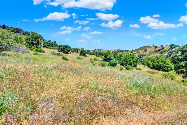a view of a yard with a tree