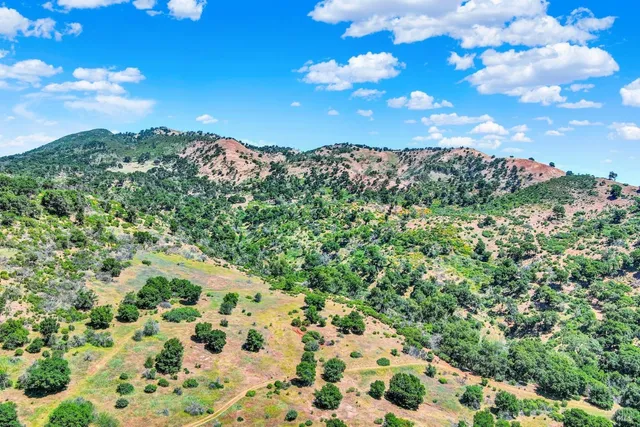 a view of a bunch of trees