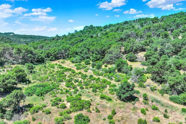 a view of a bunch of trees