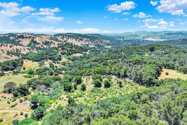 a view of a large yard with lots of green space